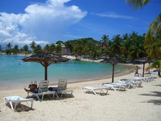 Studio Vue Mer Village Viva Bas Du Fort, Gosier Le Gosier  Ngoại thất bức ảnh